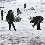 Slemani In The Snow