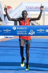 Zurich Maraton de Sevilla 2015 05