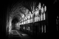 Gloucester Cathedral • <a style="font-size:0.8em;" href="http://www.flickr.com/photos/32236014@N07/16736672905/" target="_blank">View on Flickr</a>