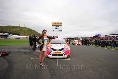 Jake Hill on the grid during the BTCC Knockhill Weekend 2016