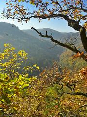 Blick ins herbstliche Tal des Brunnersdorfer Baches • <a style="font-size:0.8em;" href="http://www.flickr.com/photos/91814557@N03/16234152243/" target="_blank">View on Flickr</a>