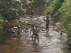 Kids playing in Stream