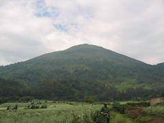 Rwandan Countryside