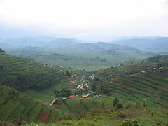 Ugandan Countryside
