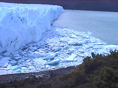 Glacier and the Iceberg Field it Creates