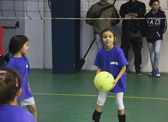 Torneo Mini Albisola 2015 • <a style="font-size:0.8em;" href="http://www.flickr.com/photos/69060814@N02/16012352883/" target="_blank">View on Flickr</a>