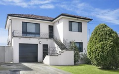 101 Wyong St, Canley Heights NSW