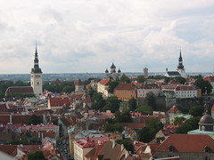Spires of Tallinn