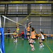 CADU Voleibol 14/15 • <a style="font-size:0.8em;" href="http://www.flickr.com/photos/95967098@N05/15734495850/" target="_blank">View on Flickr</a>