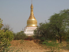 Gold and White Pagoda