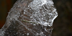 Bubbles trapped in ice