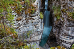 Maligne Canyon • <a style="font-size:0.8em;" href="http://www.flickr.com/photos/92159645@N05/16047573008/" target="_blank">View on Flickr</a>