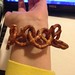 pretzel bracelet • <a style="font-size:0.8em;" href="http://www.flickr.com/photos/131392247@N06/15924064403/" target="_blank">View on Flickr</a>