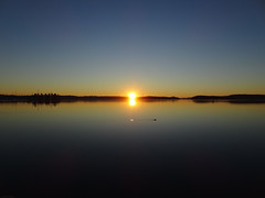 Sun Blast! (early morning sunrise + duck) SOOC