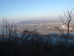 20150221_69_Nasenweg