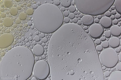Oil Bubbles Encroaching Upon Soap Bubbles • <a style="font-size:0.8em;" href="http://www.flickr.com/photos/92159645@N05/16452280406/" target="_blank">View on Flickr</a>