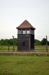 Auschwitz (13)