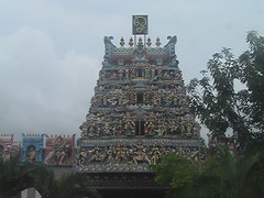 The View to the Temple