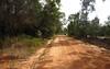 Sandy Swamp Road, Coutts Crossing NSW