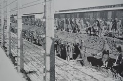 Auschwitz (16) (Copy)