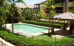 87/300 Sir Fred Schonell Drive, St Lucia Qld