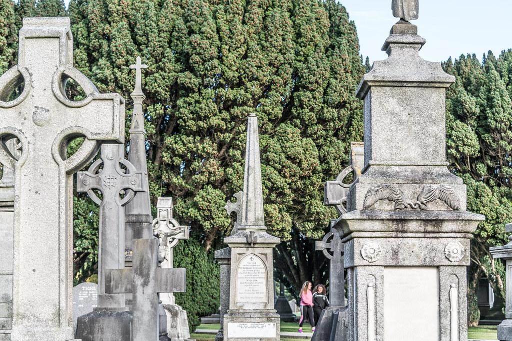 A QUICK VISIT TO GLASNEVIN CEMETERY[SONY F2.8 70-200 GM LENS]-122082