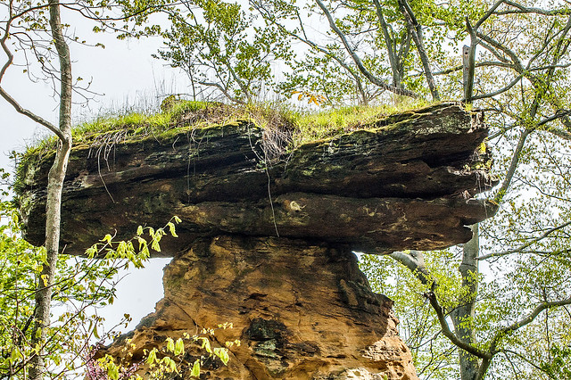 Jug Rock Nature Preserve - April 24, 2015