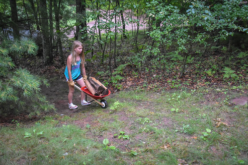 Nora puts her old toy wheel barrow to good use. • <a style="font-size:0.8em;" href="http://www.flickr.com/photos/96277117@N00/28372348535/" target="_blank">View on Flickr</a>