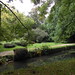 canal parc arboretum