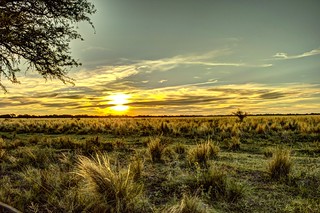 Sunset in La Pampa, Argentina