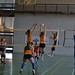 Finales CADU Voleibol '15 • <a style="font-size:0.8em;" href="http://www.flickr.com/photos/95967098@N05/16761410442/" target="_blank">View on Flickr</a>