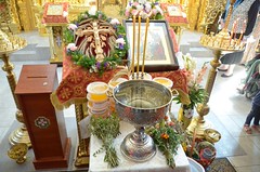 JPR_6557