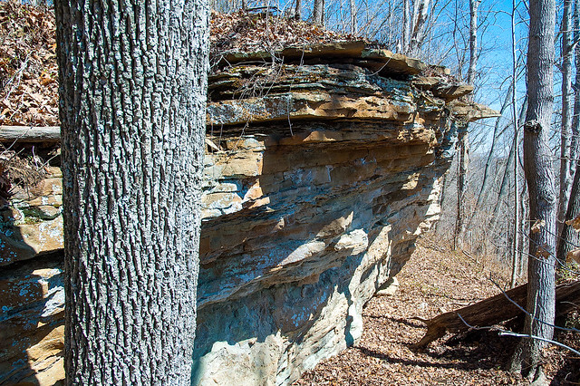 Hoosier National Forest - Buzzard Roost - March 28, 2015