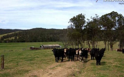 347 Nerrigundah Mountain Road-Stockyard Farm, Bodalla NSW