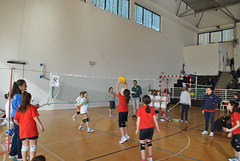 1° torneo Città di Celle Ligure • <a style="font-size:0.8em;" href="http://www.flickr.com/photos/69060814@N02/17149783281/" target="_blank">View on Flickr</a>