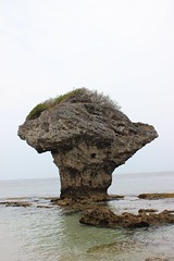 Vase Rock