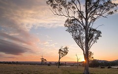 Lot 255, Olive Hill Drive, Cobbitty NSW