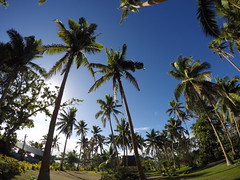 GOPR0621