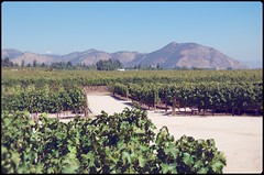 The Maipo Valley