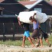 IMG00144/Sittwé/Harbour/ heavy Transportation by Rakhine's Workers
