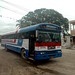Belize Bus 1
