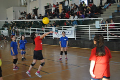1° torneo Città di Celle Ligure • <a style="font-size:0.8em;" href="http://www.flickr.com/photos/69060814@N02/17124446936/" target="_blank">View on Flickr</a>