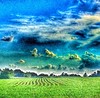Farmscape #farmland #pastoralscene #photoart #sharethelex #clouds #cloudscape
