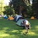 <b>15_tents_at_camp_4</b><br /> By Chris Reino