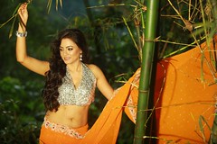 South actress MADHUCHANDAPhotos Set-3-HOT IN TRADITIONAL DRESS (20)
