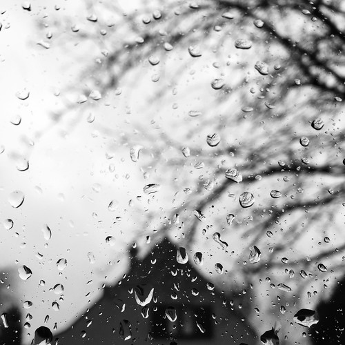Rain, From FlickrPhotos