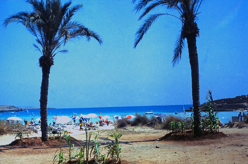 331Zypern Ayia Napa Nissi Beach (d) • <a style="font-size:0.8em;" href="http://www.flickr.com/photos/69570948@N04/17342672392/" target="_blank">Auf Flickr ansehen</a>