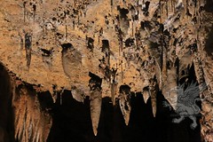 grotte di S.Angelo(CassanoJonico)_2016_037