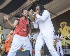 Big Chief Bo Dollis Jr. and the Wild Magnolias at Jazz Fest 2015, Day 7, May 3