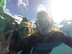 Snorkel dans les Whitsundays